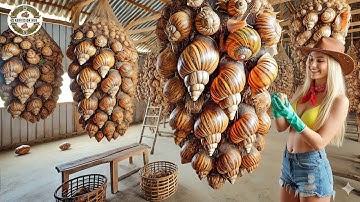 How Farmers Raise & Process Millions Of Snails - Harvest Snails