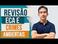 Legislação Penal: ECA e Crimes Ambientais com os principais temas - PF e PRF - Prof.Juliano Yamakawa