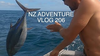 Adventure VLOG 206  BLUEFIN TUNA down at Jacksons Bay  The one that got away