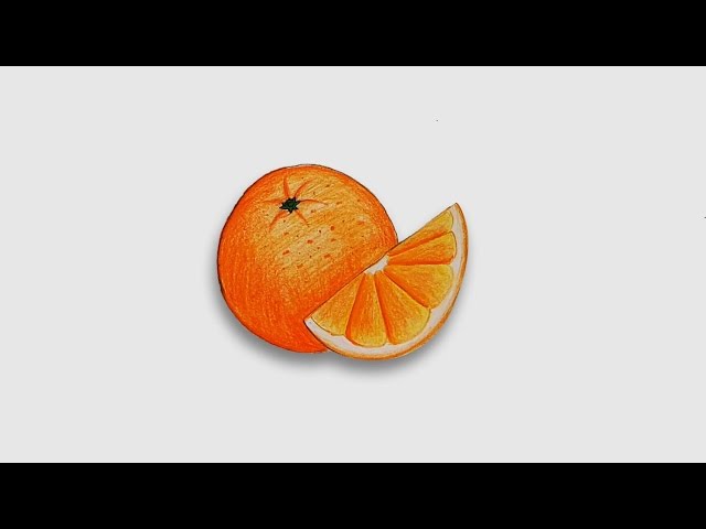 How to Draw an Orange Tree - Really Easy Drawing Tutorial