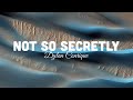 Dylan Conrique - Not So Secretly (lyrics)