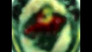 Minnesota Wild Goal Horn 2014-2015