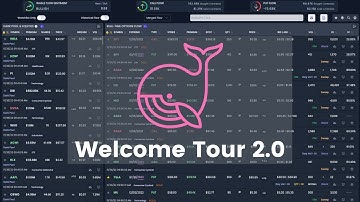 WhaleStream Options Flow & Dark Pool Platform Welcome Tour 2.0