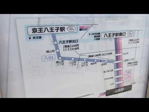 接骨ネット ふじもり桜花整骨院 八王子市 周辺施設 口コミ 写真 動画