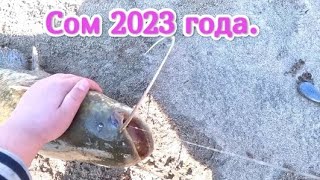 Рыбалка на реке 2023 год,попался Сом.