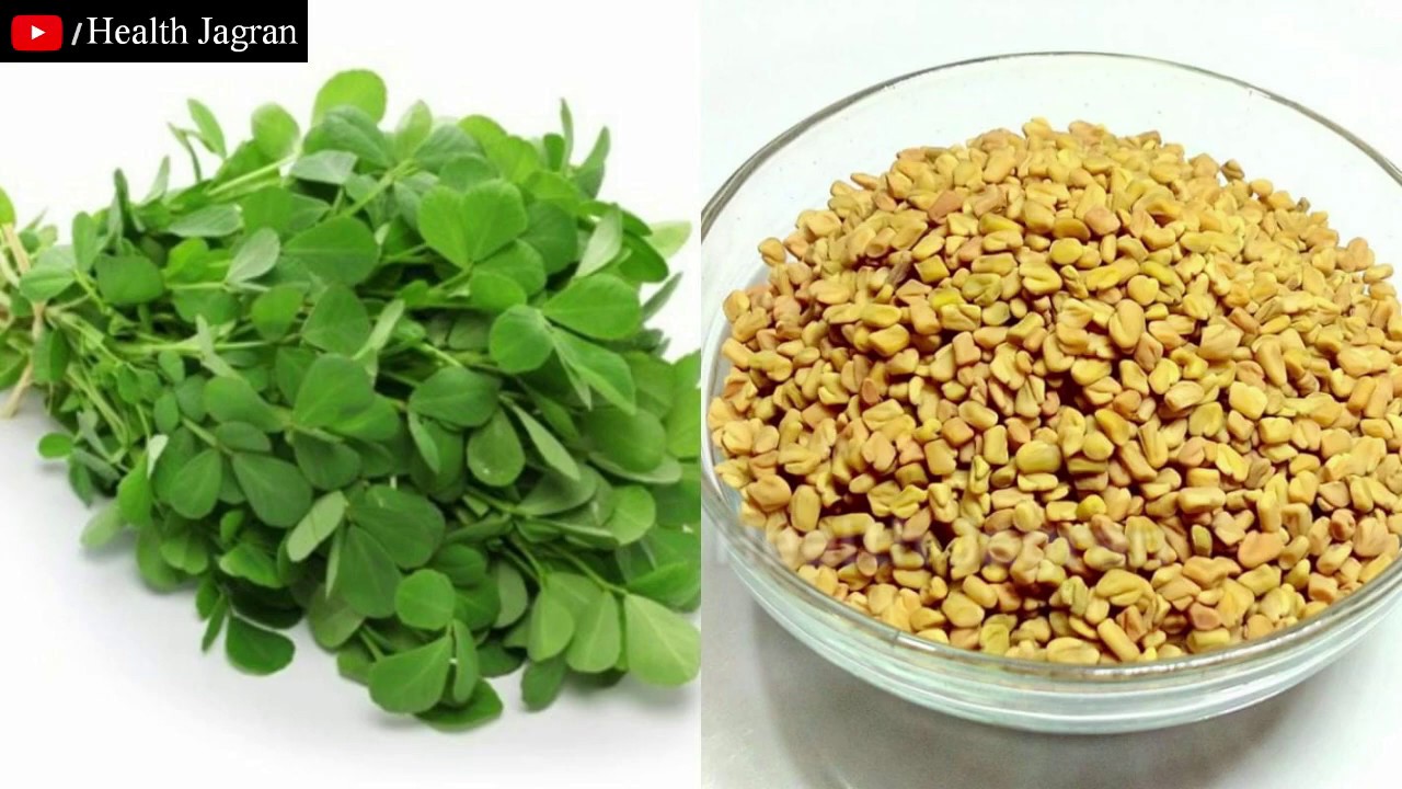 मेथी के चिकित्सीय लाभ Fenugreek benefits in hindi Indian Herb
