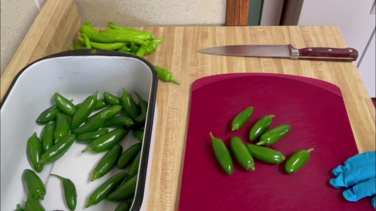 HOW TO FREEZE JALAPEÑO PEPPERS FOR BEGINNERS YouTube