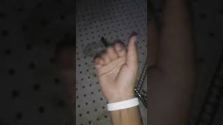 Palm.spin reverse tutorial