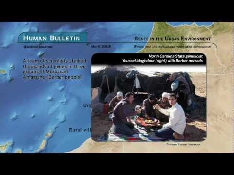 Science Bulletins: Genes