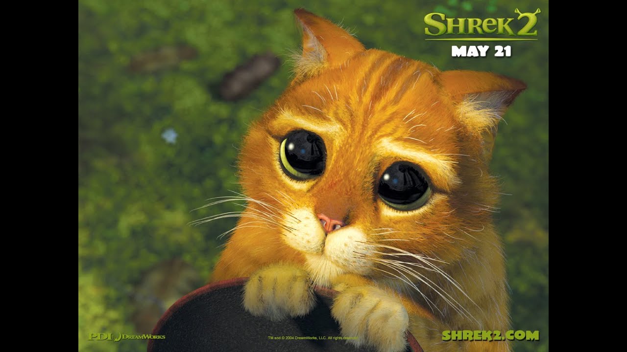 Обзор мессенджера WowApp