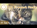 FIREWORK ANXIETY MUSIC - 4th of July Soothing Music Aid for Cat Anxiety