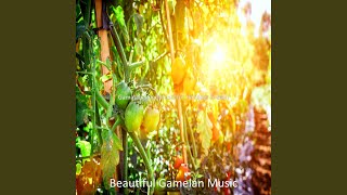 Celebrity Simple Backdrops for Java Sunsets Profile
