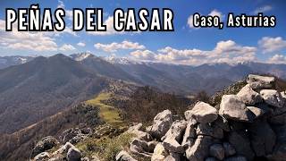 Peas Del Casar  Andrea Von Kdanen Forever Young