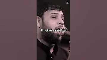 شكرا بلحب مجزيه للقوات الامنيه سيد فاقد الموسوي طلعو ما شاء الله تصميمي مشاية الاربعين 