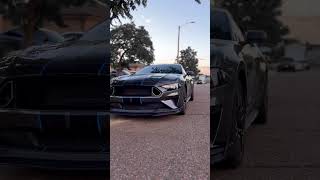 Dynaperformance With The Best Carbon In The Game