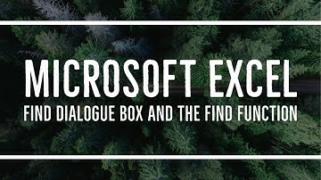MS Excel - Using the Find Dialogue Box and the Find Function