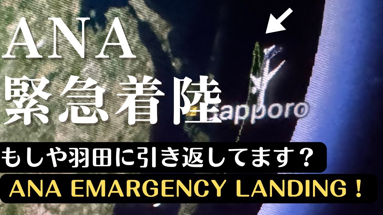 ヨーロッパ便飛行中に急病人発生！地獄の一夜から天国展開までの一部始終。#旅ログ #トラブル発生 #飛行機動画