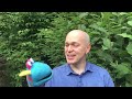 Learn to Speak Gaelic with Gillebride & Fergus