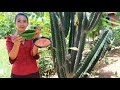 Yummy Pedro cactus in my homeland - Healthy food
