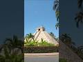 saludos hermanos humanos ,Otis el gato sicilano les desea un muy bonito día, bonito como yo 🐈⬛🖤🌹☕✨