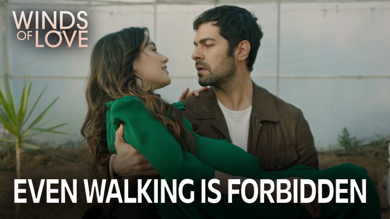 Halil'in babalık heyecanı | Rüzgarlı Tepe 217. Bölüm