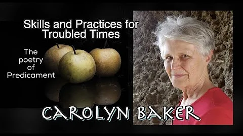 Relationships, Skills and Practices for Troubled T...