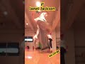 【DANCE】ジャネットのifを90s STEPの振り付けで踊ってみたレッスン動画 最後の逆シャチみんな苦労してたね( ᐛ) #dance #hiphop #if #janetjackson