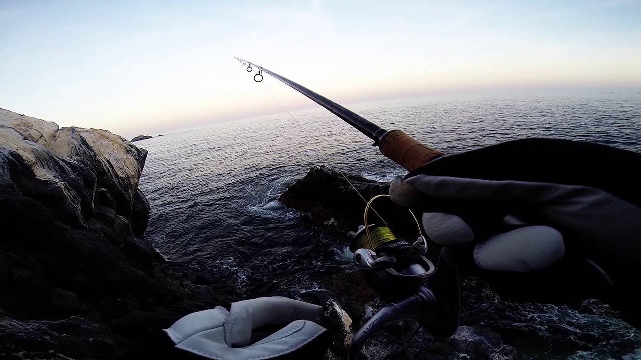 Pesca de cabrilla con vinilos sector michilla Region de Antofagasta