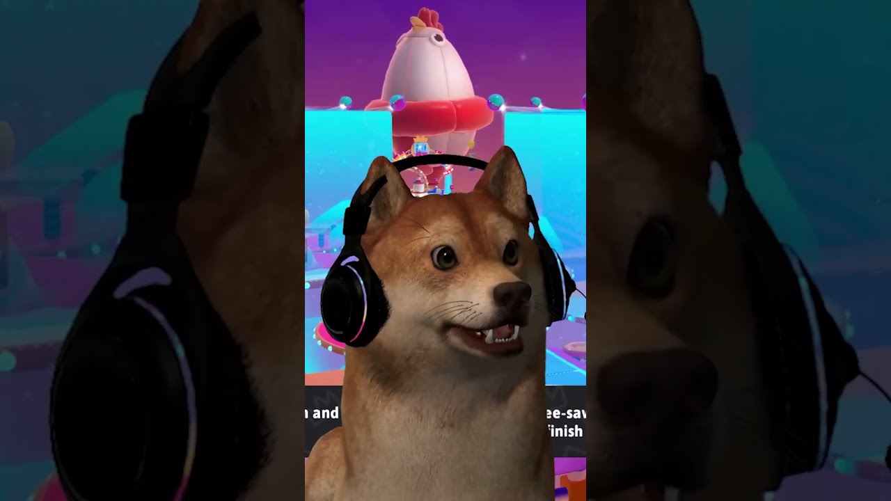 Big Dog Shakes Head