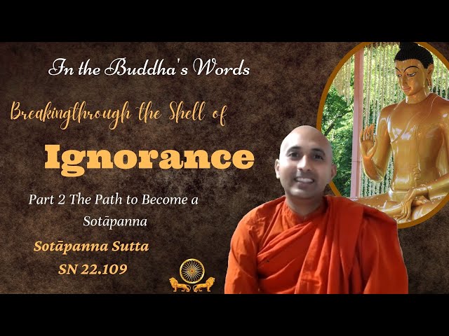 Breaking Through the Shell of Ignorance Part 2—Sotāpanna Sutta SN 22 109 class=