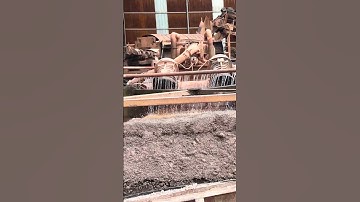 Sand wet vibrtaing for miining grading#screeningmachine #equipment #silicasand