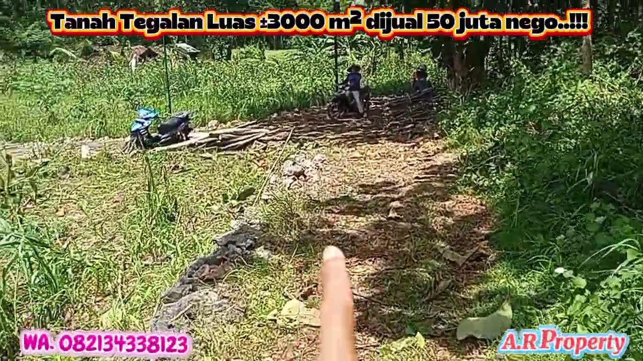 (Eps.0312) Tanah Tegalan Luas ±3000 m² DIJUAL 50 JUTA Nego..!! 