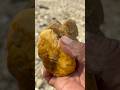 the process of finding gold-fibrous stones in the river #gemstone #geology # #fossil