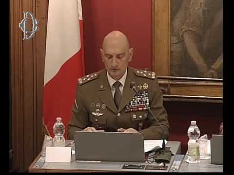 17 giugno 2026 - Missioni internazionali, audizione Portolano