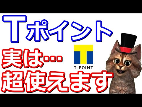 今さら聞けないTポイント賢い使い道！【PayPayポイント・ウエルシア・SBI証券・ANA・JAL・現金化・WAONPOINT】