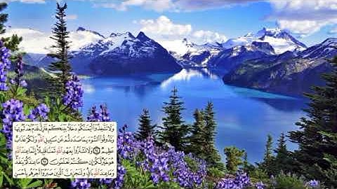 278-page سعد الغامدي - -سورة النحل -Les abeilles (An-Nahl) 16