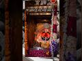 Salasar Balaji 😍🙏#ram #hanuman #bajrangbali #viral #shorts #ram #song #bhajan #trending #rajasthan