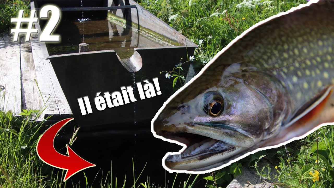 Le plus GROS SAUMON était bien caché! - EP 2 - Truites d'Altitude