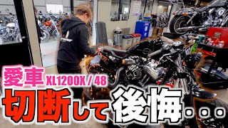 I cut the rear fender off my beloved XL1200X (Forty-Eight) and now