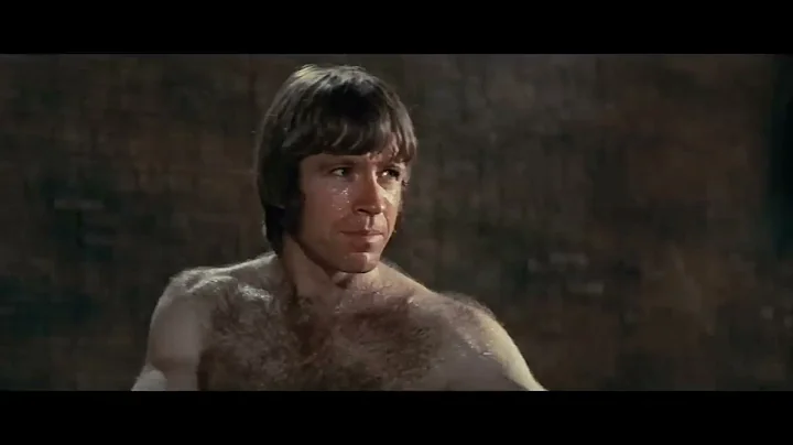 The way of dragon(1972) final fight | Bruce Lee vs Chuck Norris |