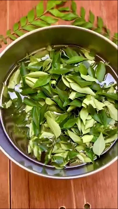 How To Make Curry Leaves Oil For Hair Growth