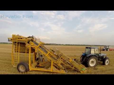 Video: Anaerobe Vergisting Van Gemengd Kuilvoer Van Waterweegbiomassa En Tarwestro In Een Langdurig Semi-continu Productieproces Van Biogas