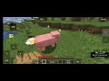 Minecraft survival world