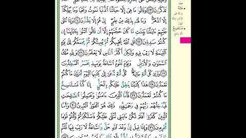 الصفحة (501) من المصحف الشريف ( سورة الجاثية - مشروع حفظ القرآن الكريم )