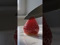ASMR Strawberry cutting #asmr #foodasmr #relaxing #satisfying #youtubeshorts