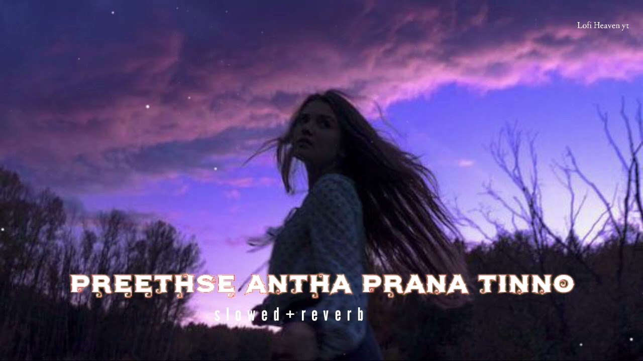 Preethse Antha Prana Tinno slowed reverb Lofi Kannada song