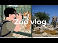 Zoo vlog 🦛🐨🦁🦍🐘🐒🐯