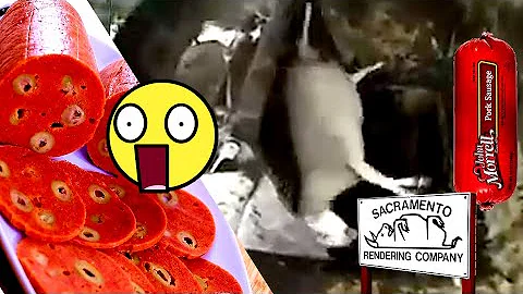 تحميل كيف يصنع الكاشير