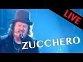 Zucchero - BAILA MORENA & ALLA FINE - Live dans Les Années Bonheur
