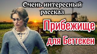 🔴Очень интересный рассказ. &quot;Прибежище для Беттекен&quot;. |&quot;до слез&quot;|✓-_ &quot;повесть&quot; из жизни «трогательно»